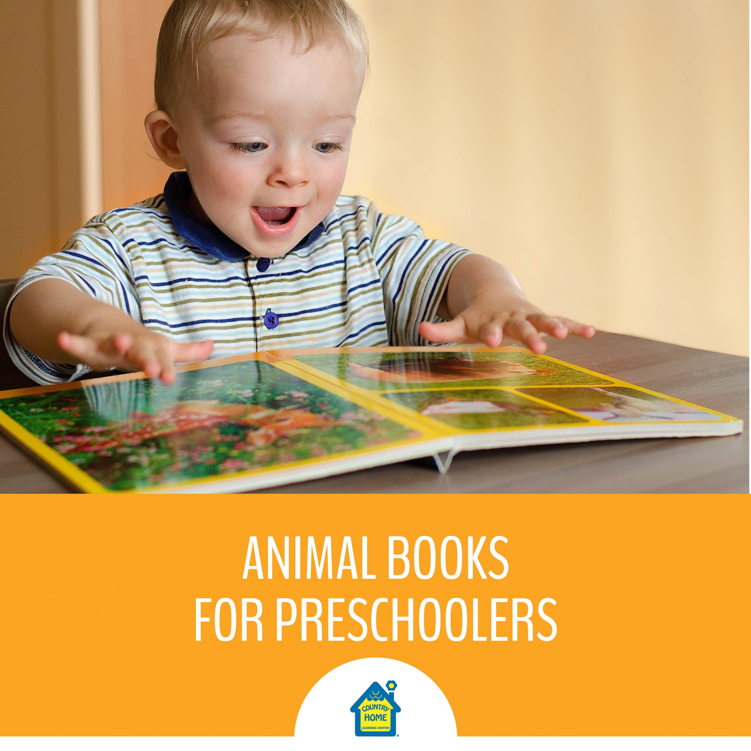 Animal Books for Preschoolers