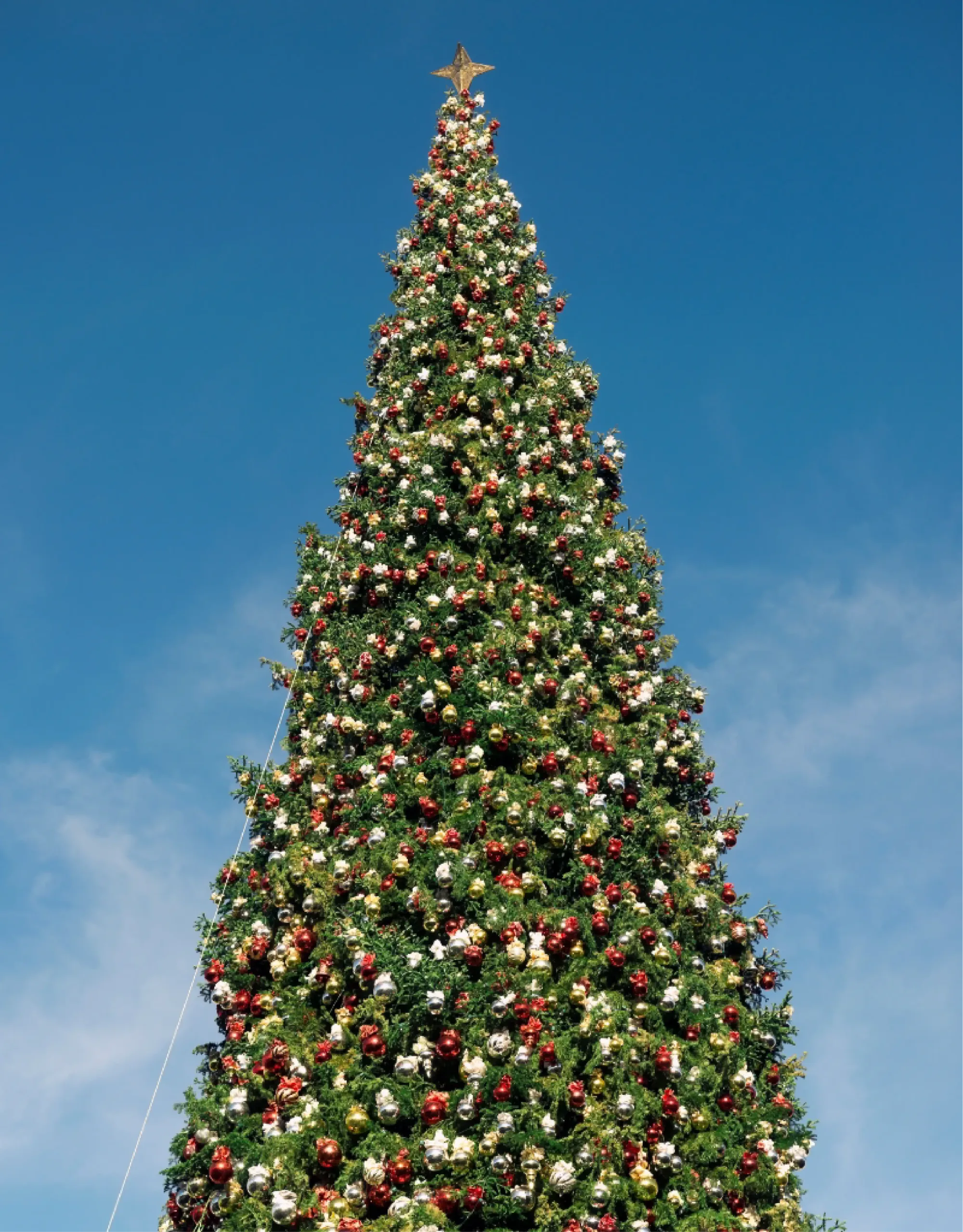 A tall Christmas tree decorated with red, gold, and white ornaments and a star on top stands against a clear blue sky.