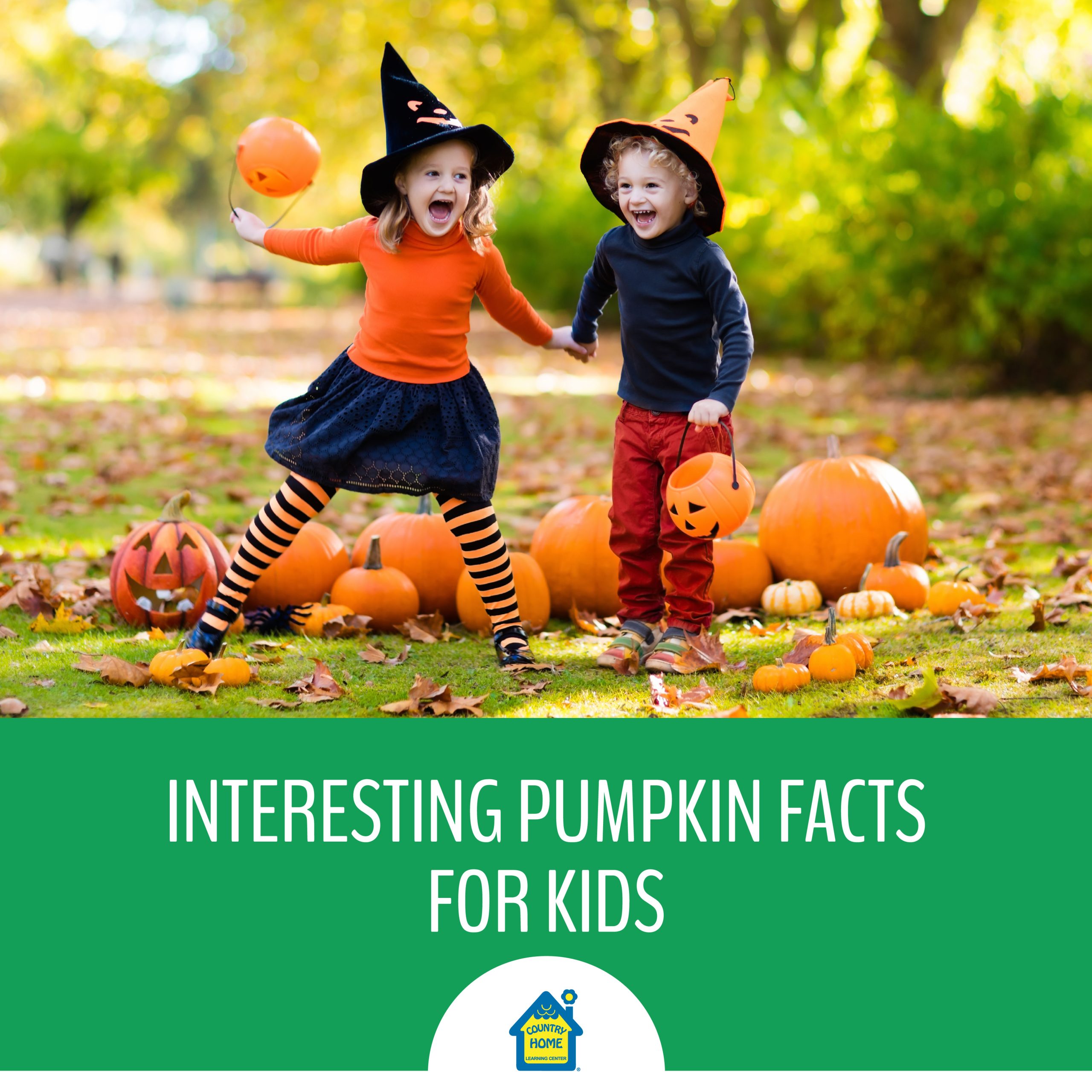 Interesting Pumpkin Facts for Kids