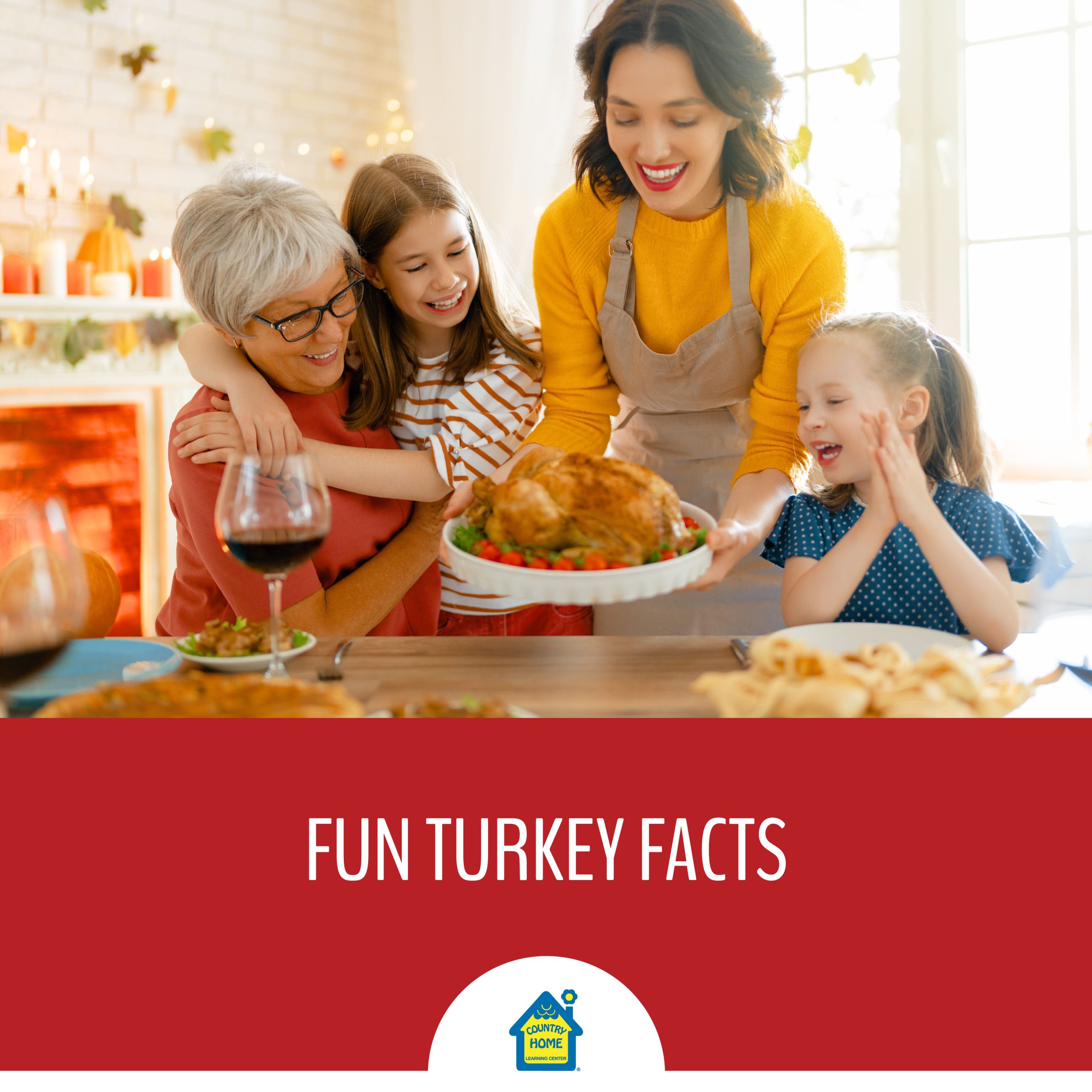 Fun Turkey Facts