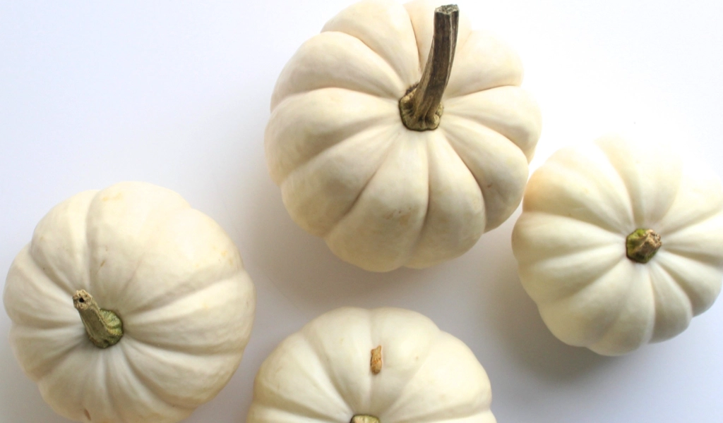 Four small white pumpkins arranged on a white background.