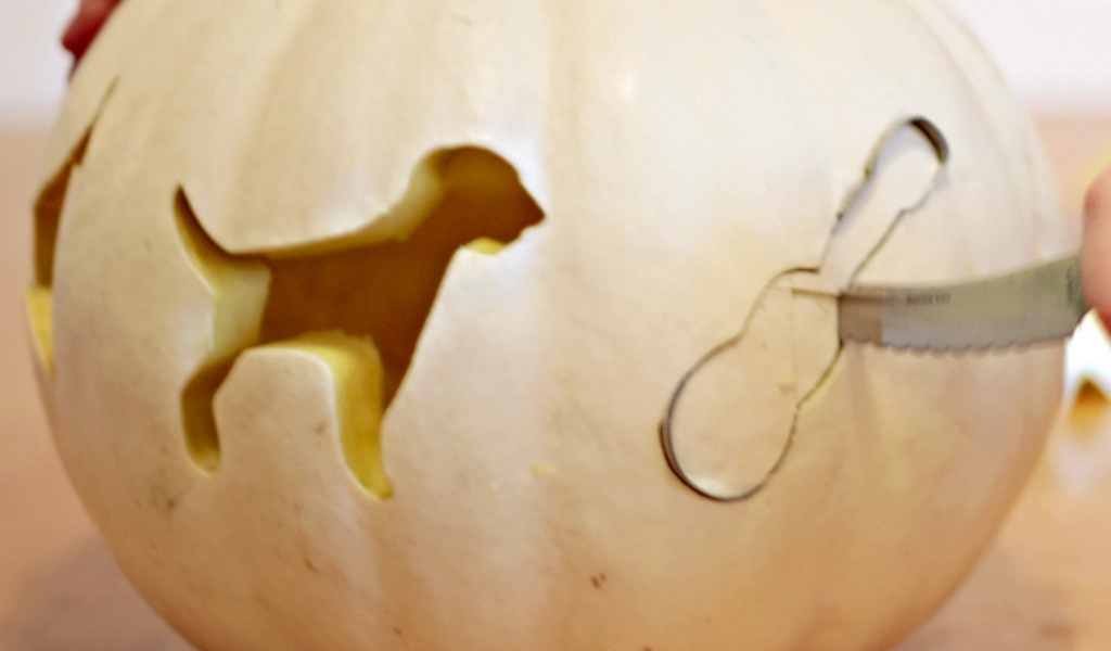 A white pumpkin is being carved with a knife; one side shows an outline of a dog, and another shape is being cut out.