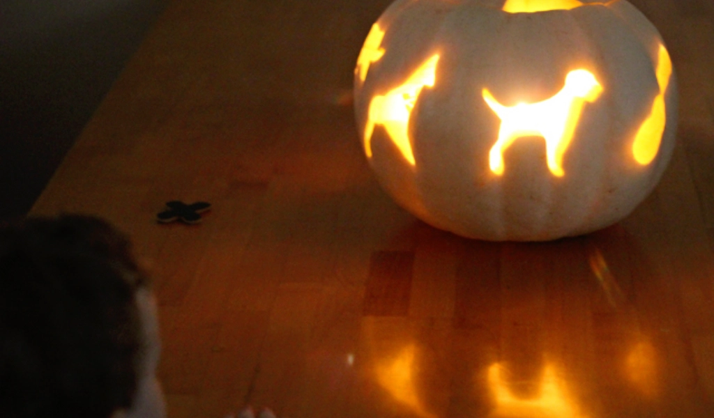 A white pumpkin with dog-shaped carvings glows from an internal light, sitting on a wooden table. A child is visible in the lower left foreground.