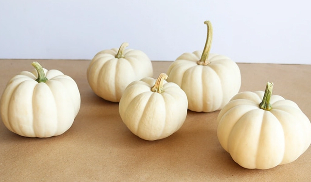 Five small white pumpkins are arranged on a brown surface with a plain white background.