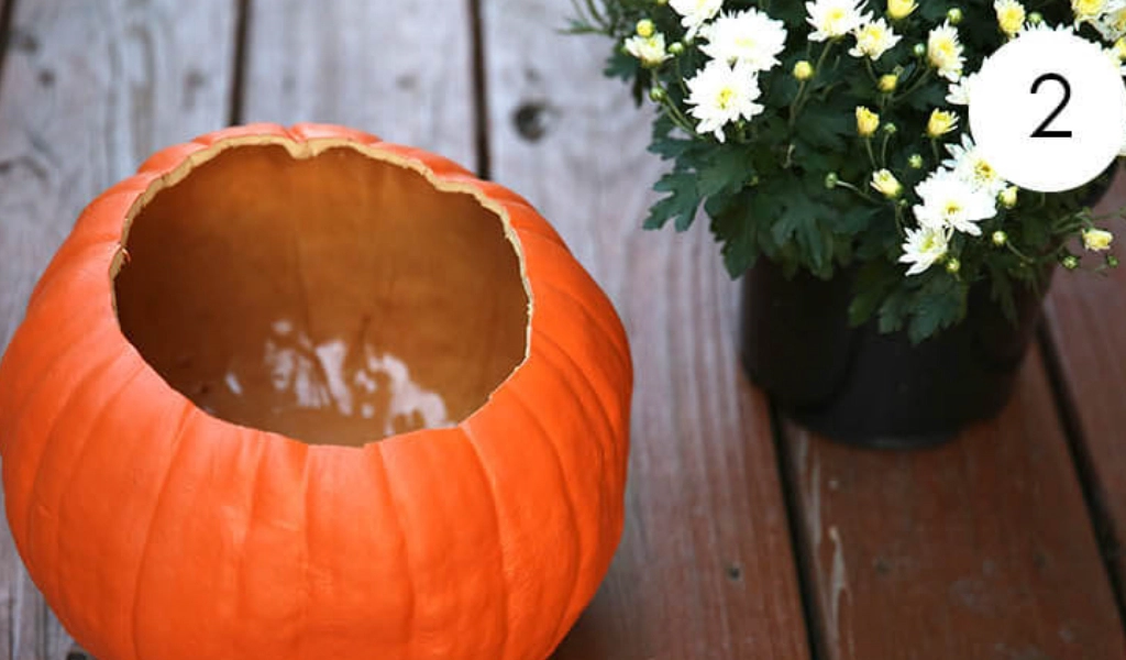 A hollowed-out pumpkin sits on a wooden surface next to a pot of white chrysanthemums.